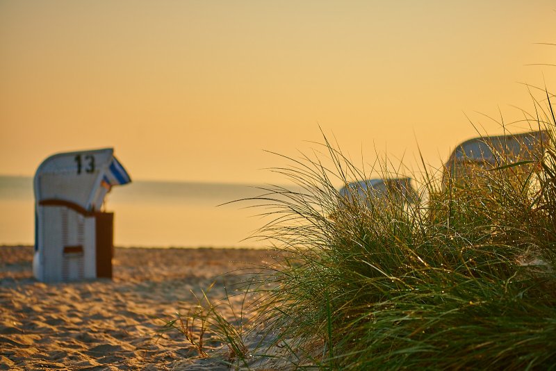 Lovers & Best Friends 