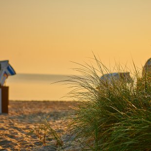 Abbildung zu Lovers & Best Friends 