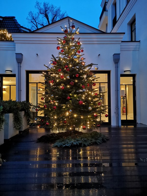 WEIHNACHTSBAUMSCHMÜCKEN 2021