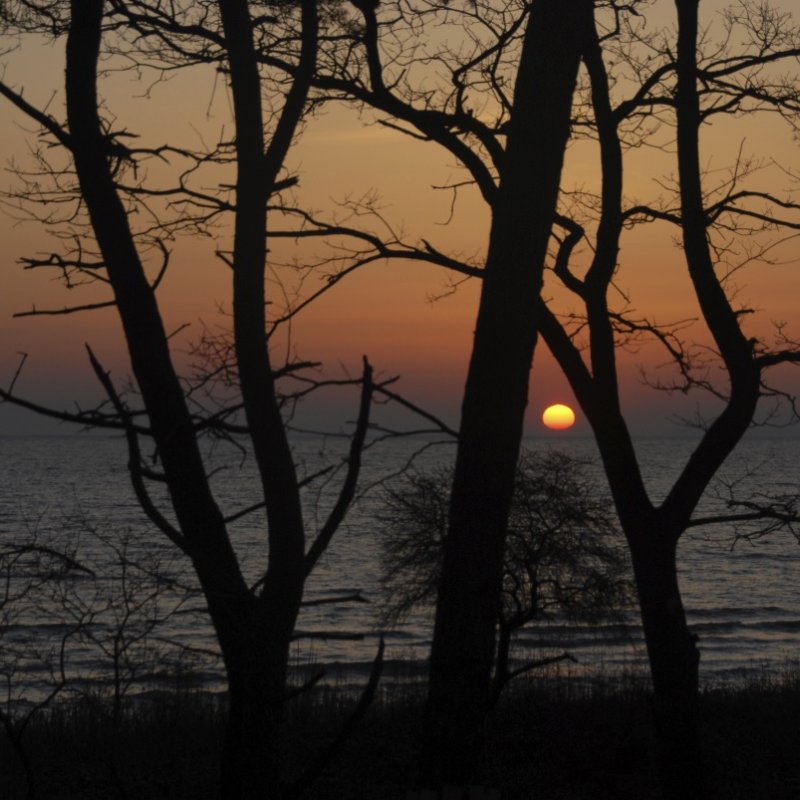 Hello Frühling 2026