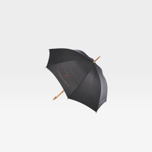 Abbildung zu Regenschirm